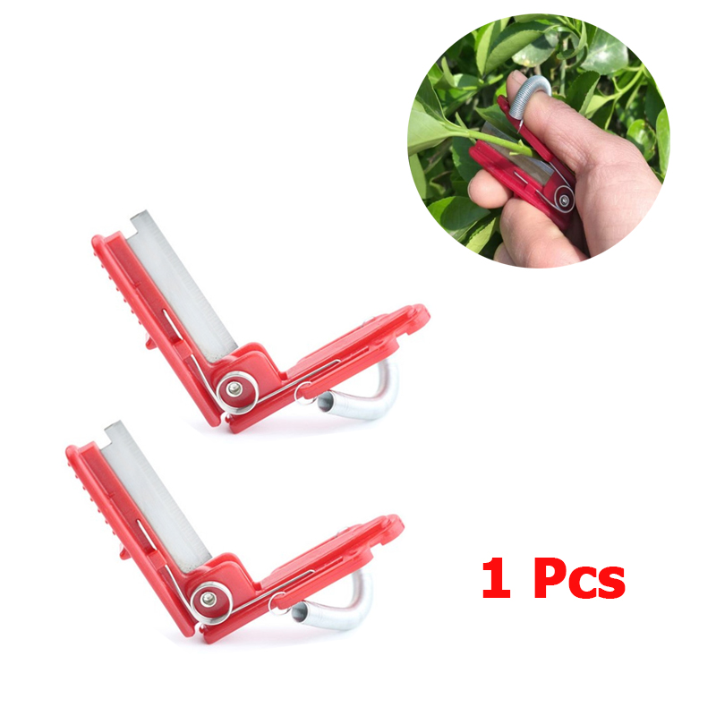 Vegetable Thump Knife Separato - đánh giá và giá Harvest Knife Garden