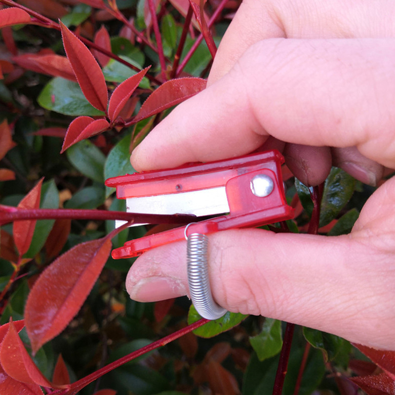 1/2/3pcs Vegetable Thump Knife - đánh giá và giá Harvest Knife Garden