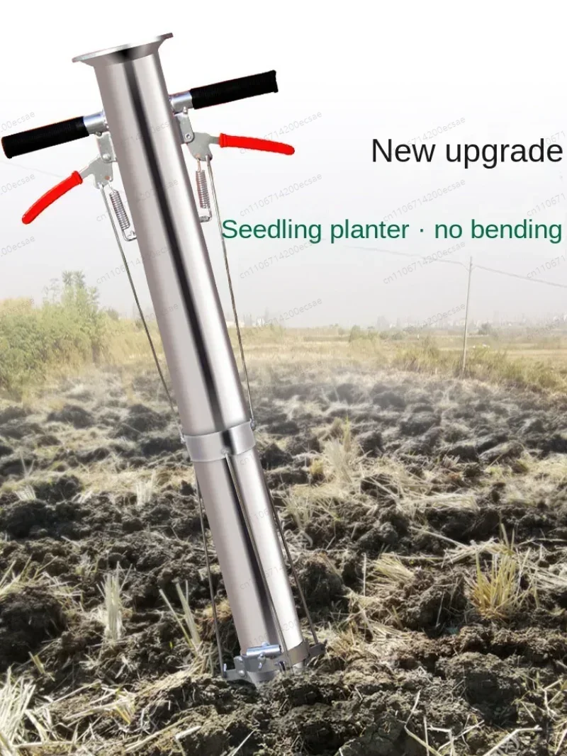 Seedling Transplanter Vegetabl - đánh giá và giá Gardening Tools Women