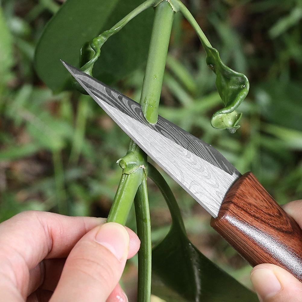 Grafting Knife Grafting Tools  - đánh giá và giá Harvest Knife Garden