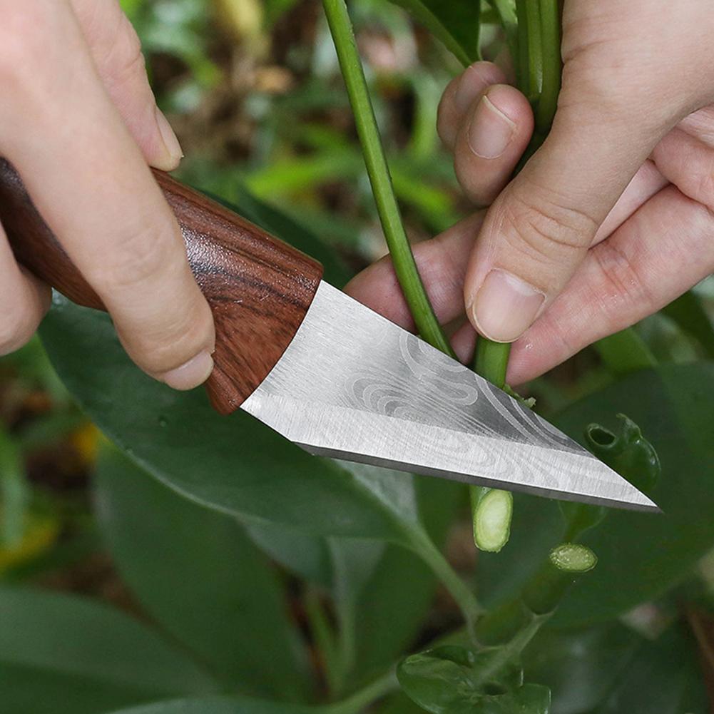 Grafting Knife Grafting Tools  - đánh giá và giá Harvest Knife Garden