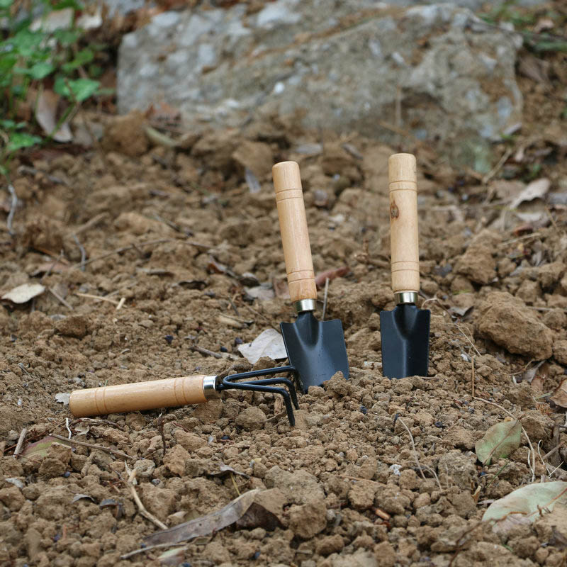 3Pcs/Set Mini Garden Tool Set  - đánh giá và giá Gardening Tools For Digging