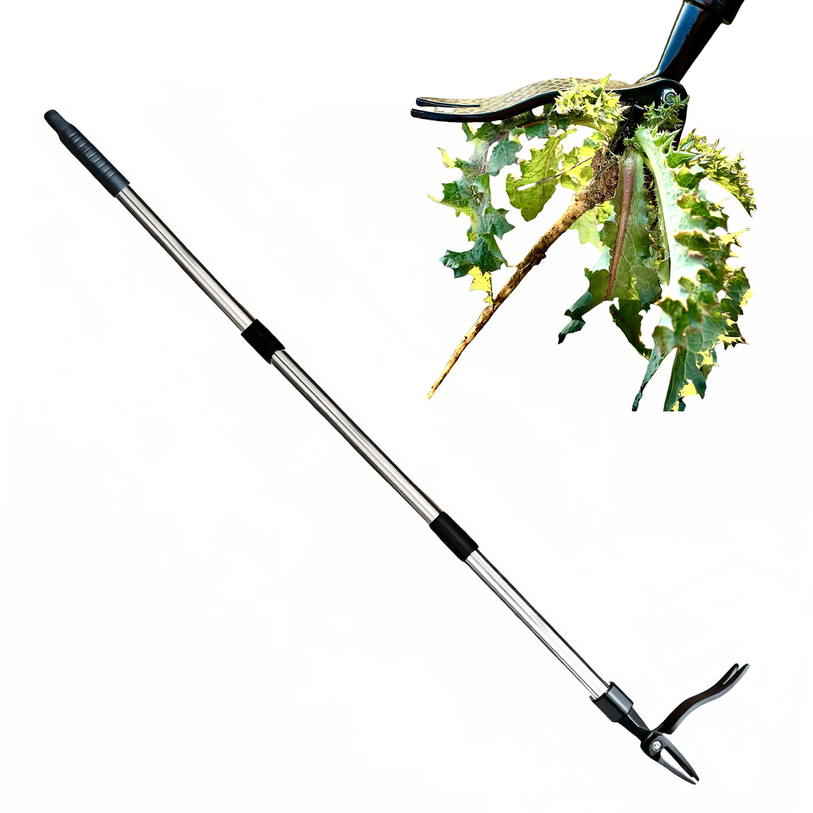4 Claw Stand Up Weed Puller St - đánh giá và giá Gardening Tools To Remove Weeds