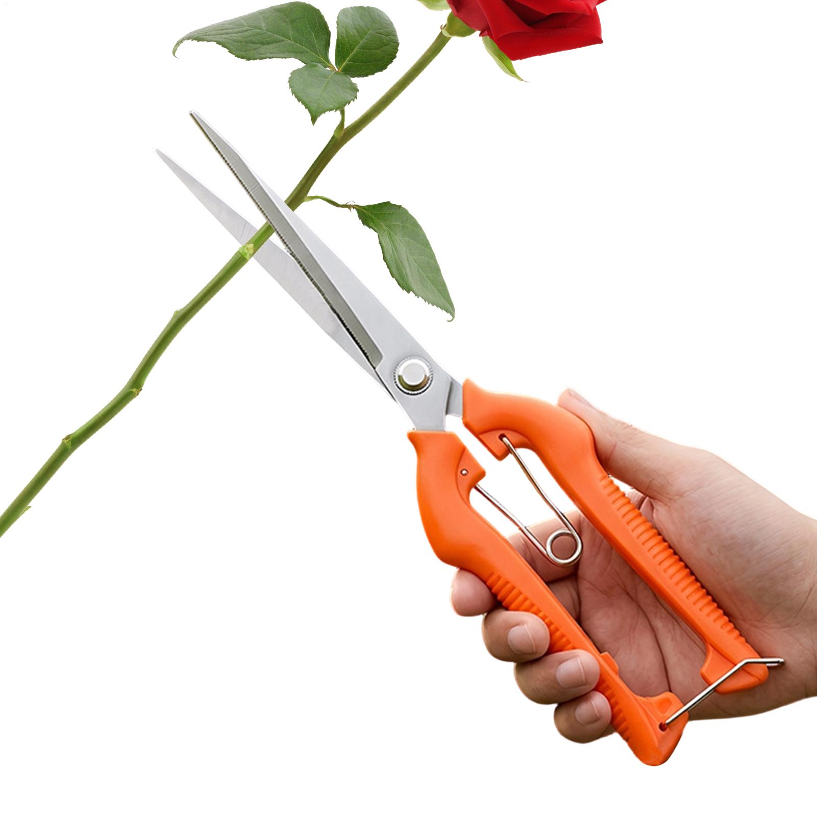 Pruning Shears Grape Scissors  - đánh giá và giá Gardening Tools Women