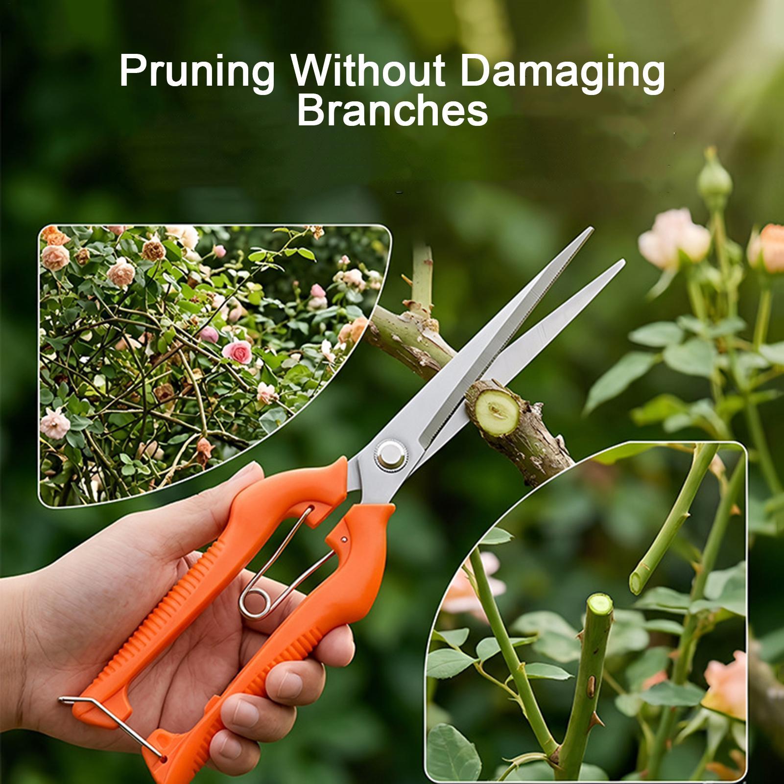 Pruning Shears Grape Scissors  - đánh giá và giá Gardening Tools Women