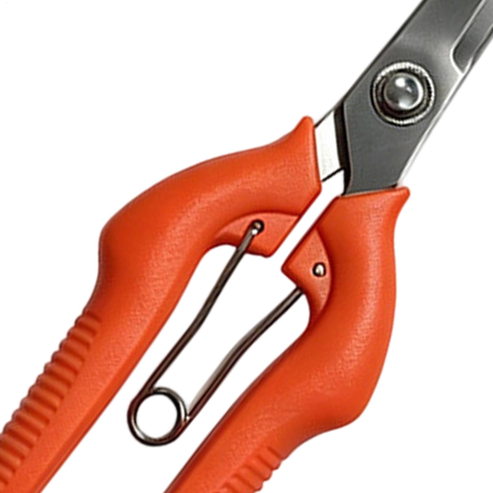 Pruning Shears Grape Scissors  - đánh giá và giá Gardening Tools Women