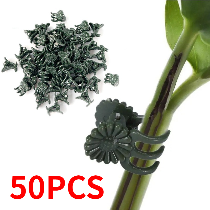 50PCS 5-Claw Dark Green Plant  - đánh giá và giá Gardening Tools Bundle