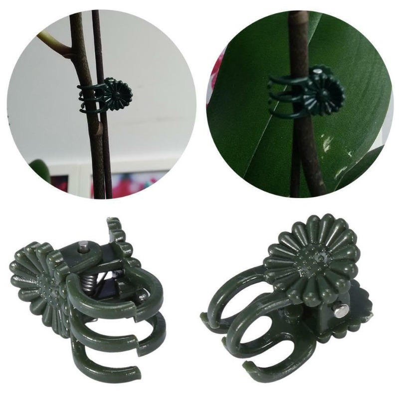 50PCS 5-Claw Dark Green Plant  - đánh giá và giá Gardening Tools Bundle