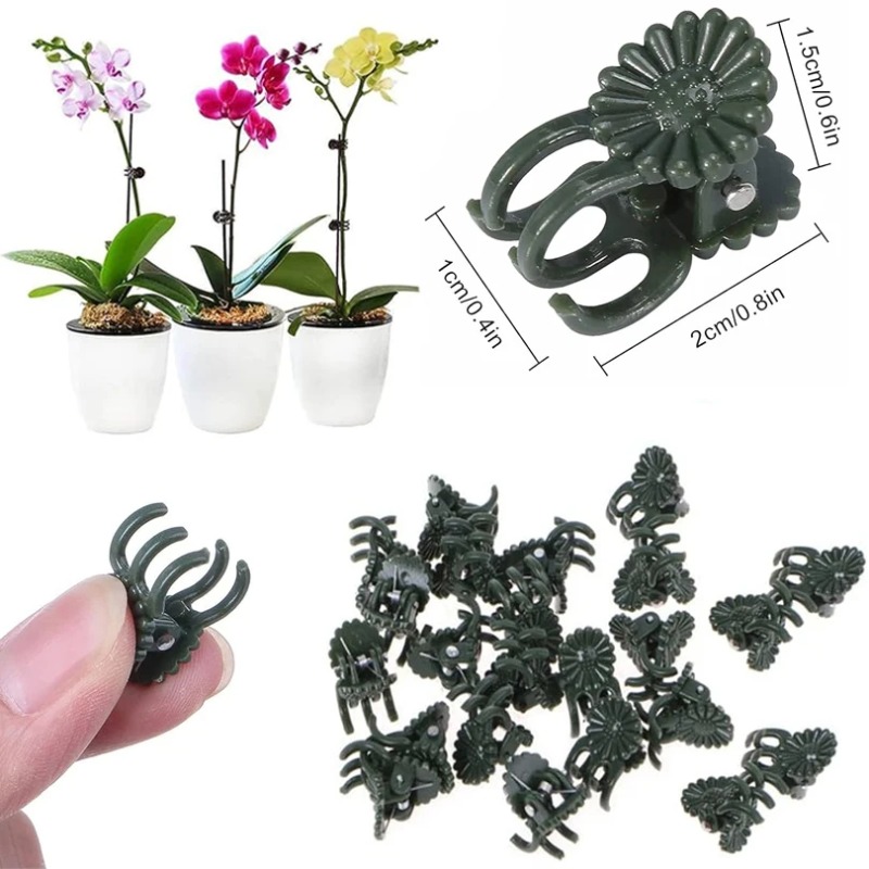 50PCS 5-Claw Dark Green Plant  - đánh giá và giá Gardening Tools Bundle