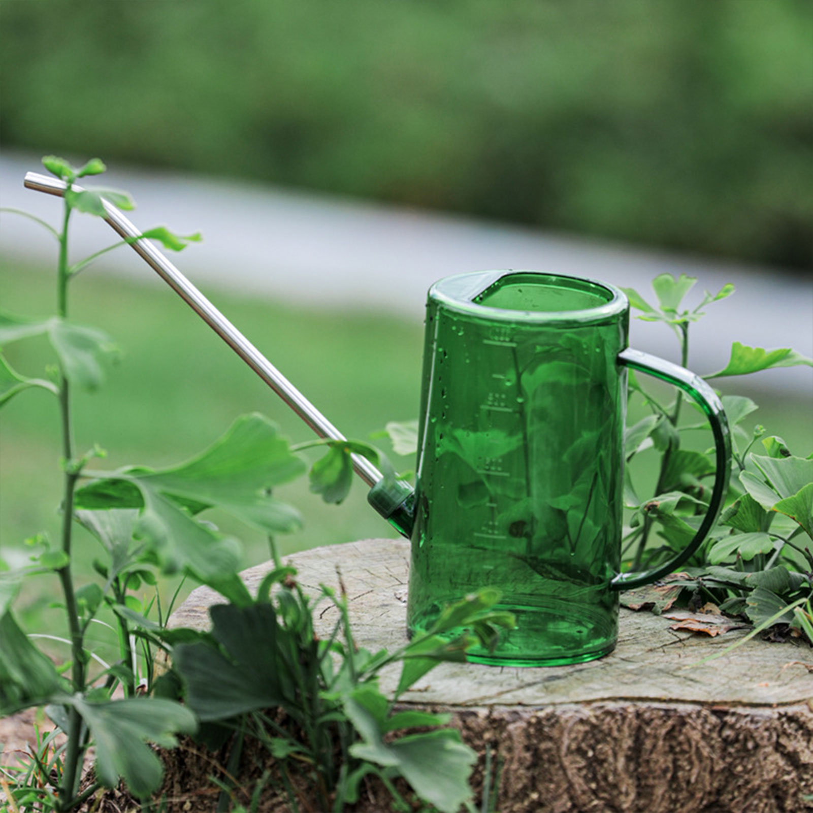 1L/1.5L Indoor Plants Watering - đánh giá và giá Gardening Tools For Seniors
