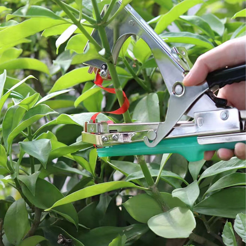 Garden Plants Branch Hand Tyin - đánh giá và giá Gardening Tools Kit For Home Garden