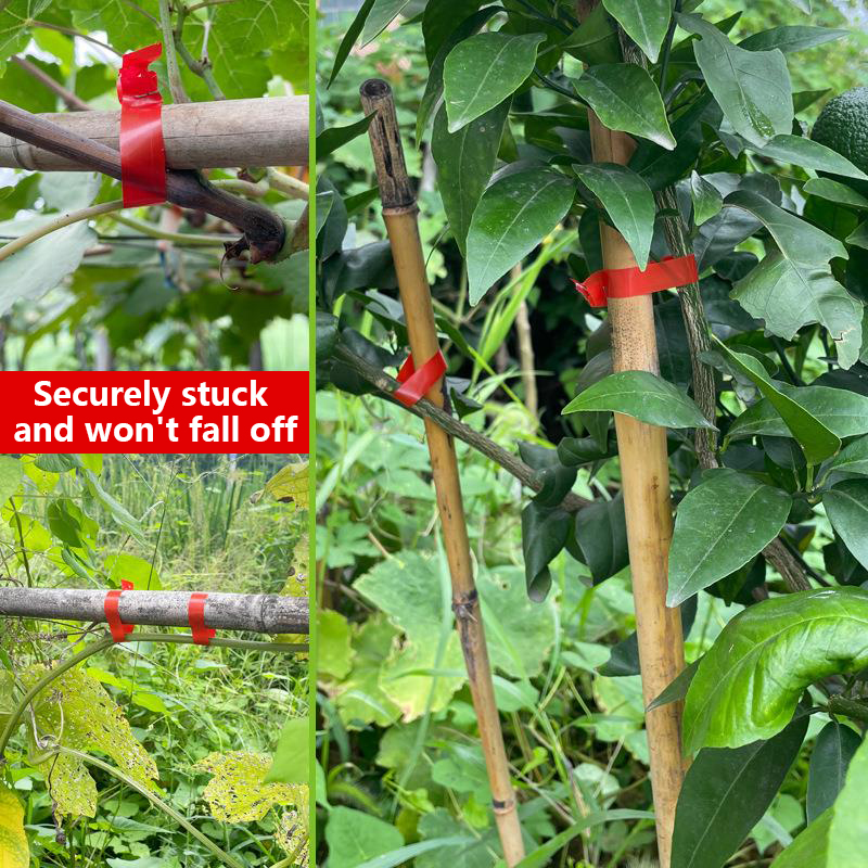 Garden Plants Branch Hand Tyin - đánh giá và giá Gardening Tools Kit For Home Garden