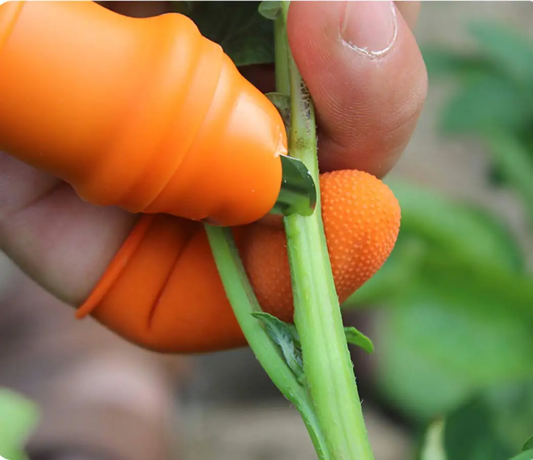 Ngón Tay Bảo Vệ Silicone Ngón  - đánh giá và giá Harvest Knife Garden