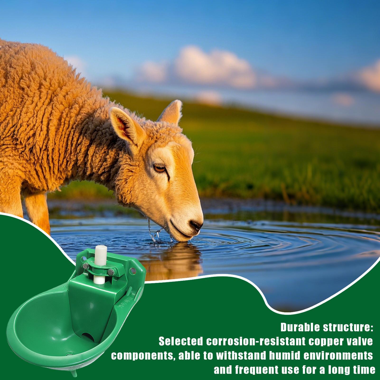 Horse Water Drinker Bowl With  - đánh giá và giá Gardening Tools Women