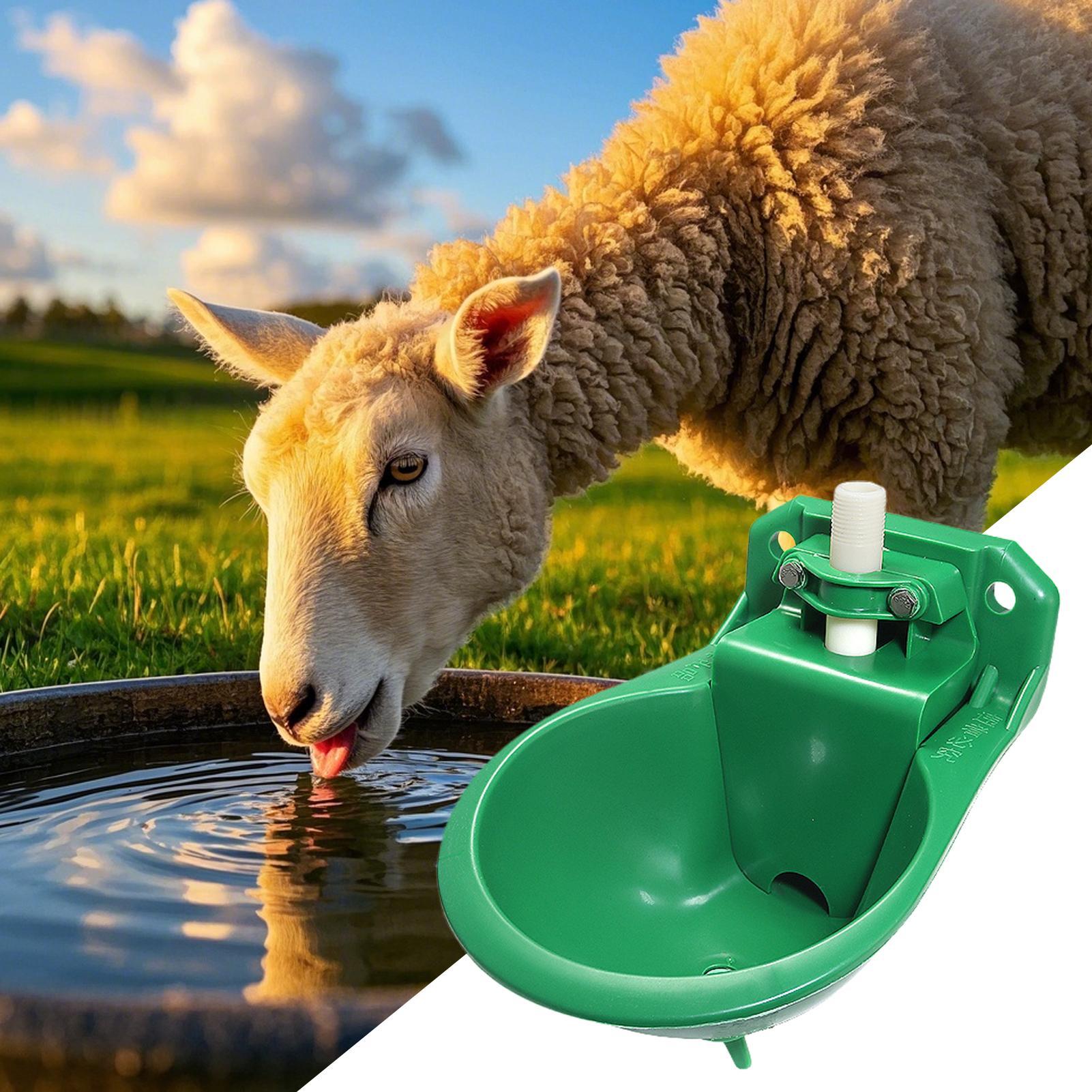 Horse Water Drinker Bowl With  - đánh giá và giá Gardening Tools Women
