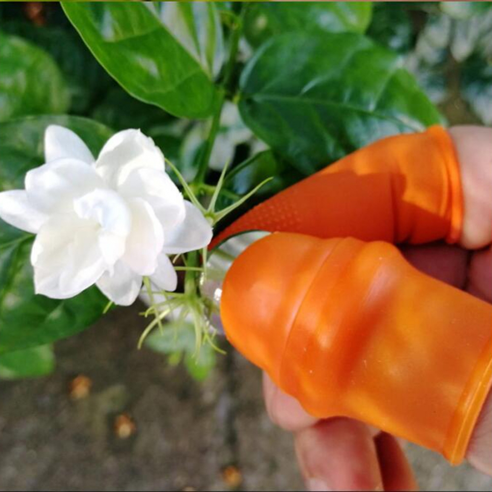 Garden Silicone Thumb Knife Wi - đánh giá và giá Harvest Knife Garden