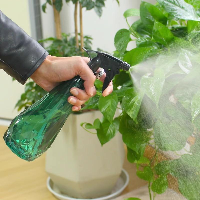 600Ml Handheld Mist Sprayer Bo - đánh giá và giá Gardening Tools For Seniors