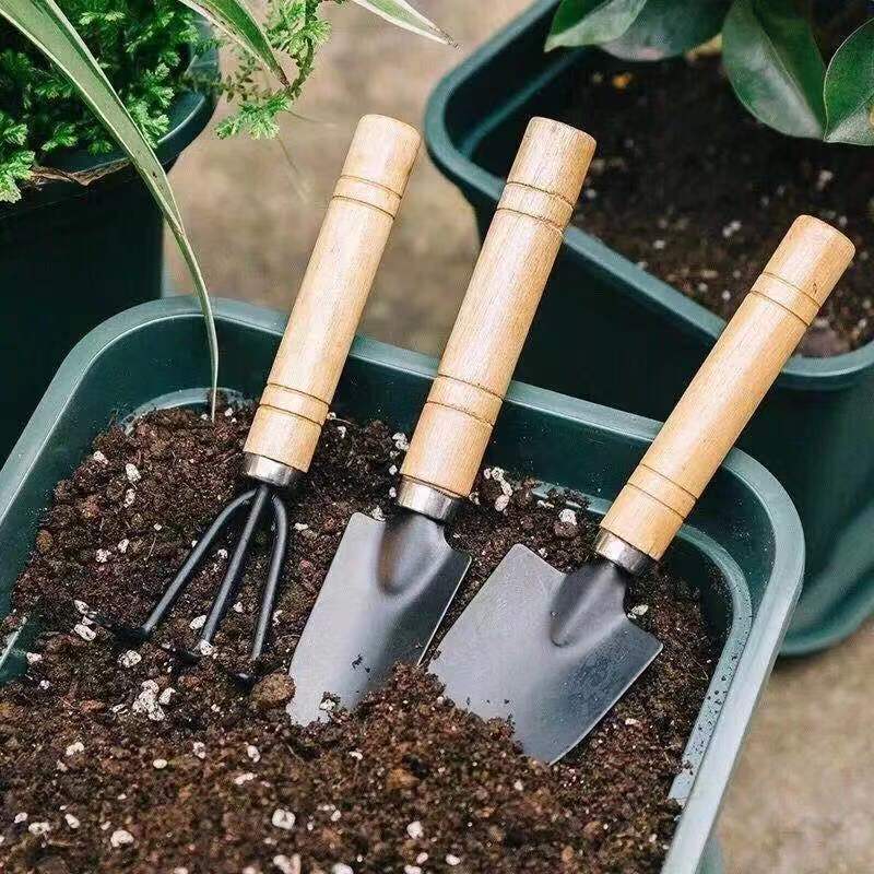 3PC/1Set Mini Gardening Tools  - đánh giá và giá Gardening Tools Bundle