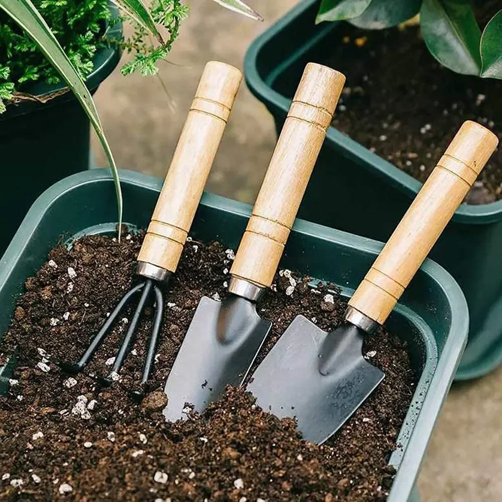 3Pcs/Set Mini Garden Tool Set  - đánh giá và giá Gardening Tools For Digging