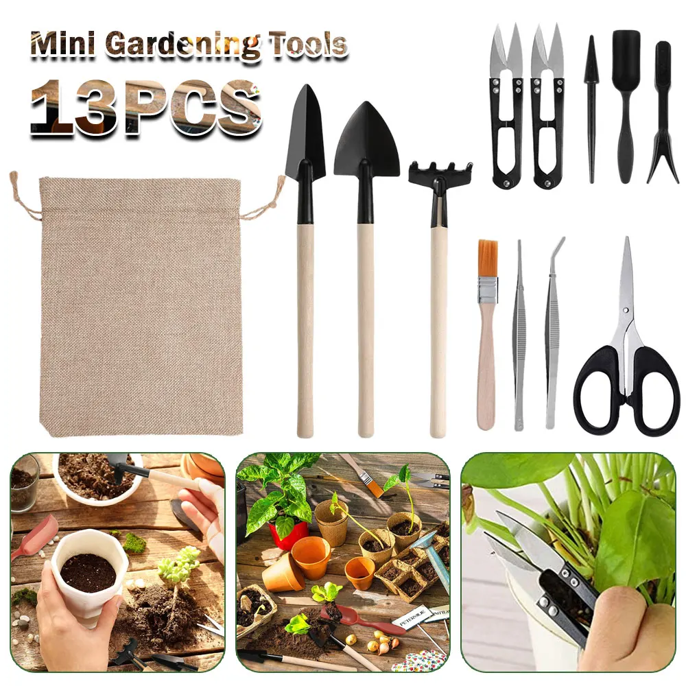 13PCS Succulent Plants Tool Se - đánh giá và giá Gardening Tools Kit For Home Garden