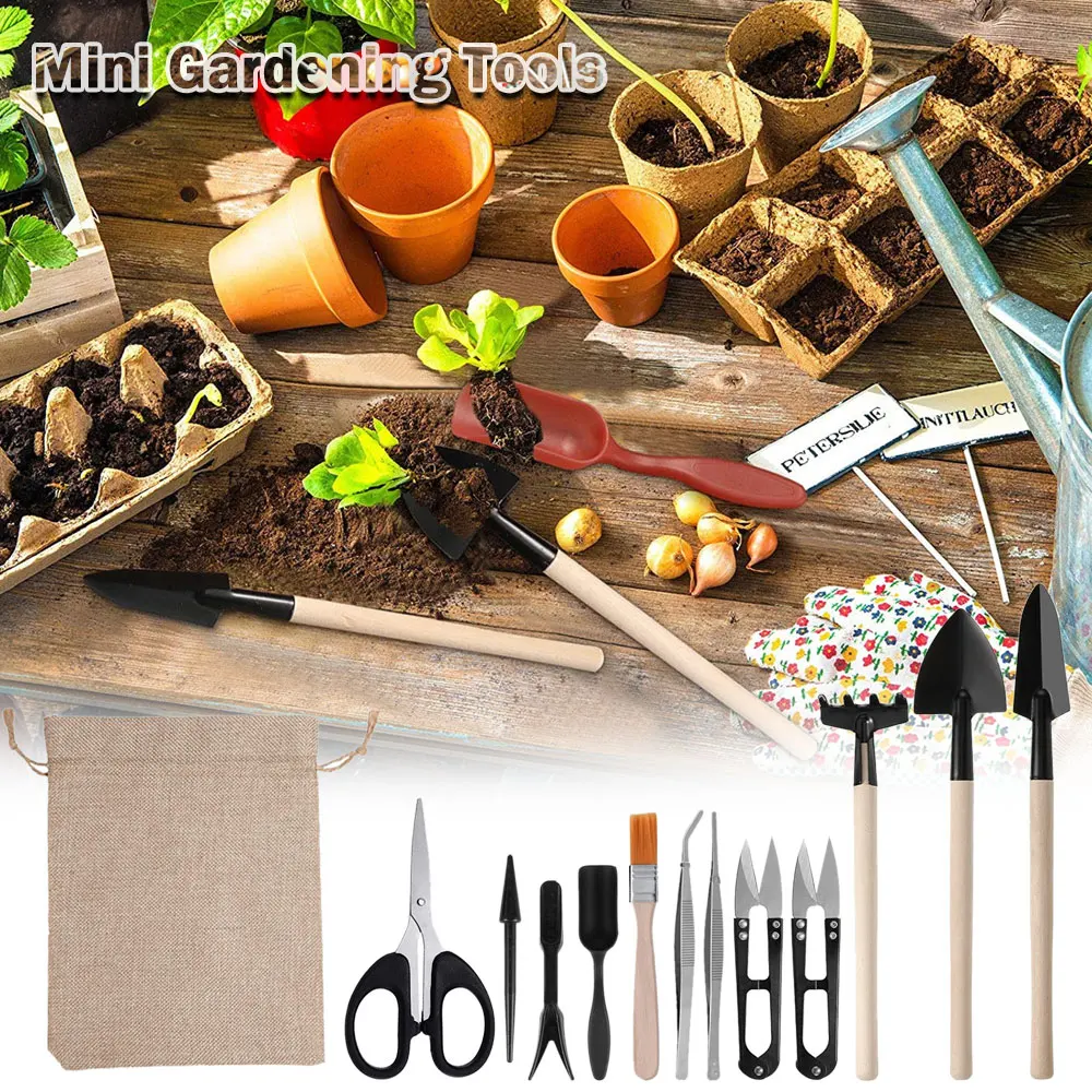 13PCS Succulent Plants Tool Se - đánh giá và giá Gardening Tools Kit For Home Garden