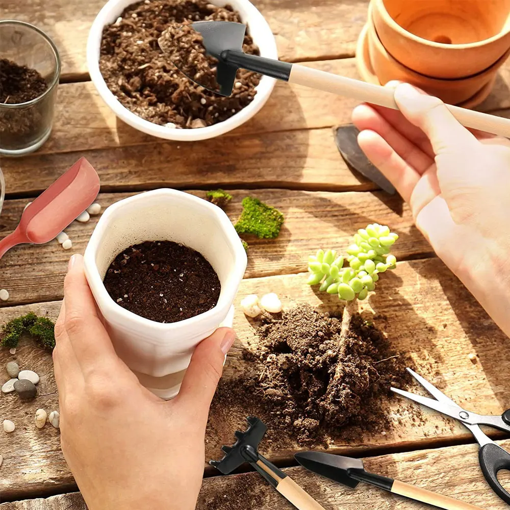 13PCS Succulent Plants Tool Se - đánh giá và giá Gardening Tools Kit For Home Garden