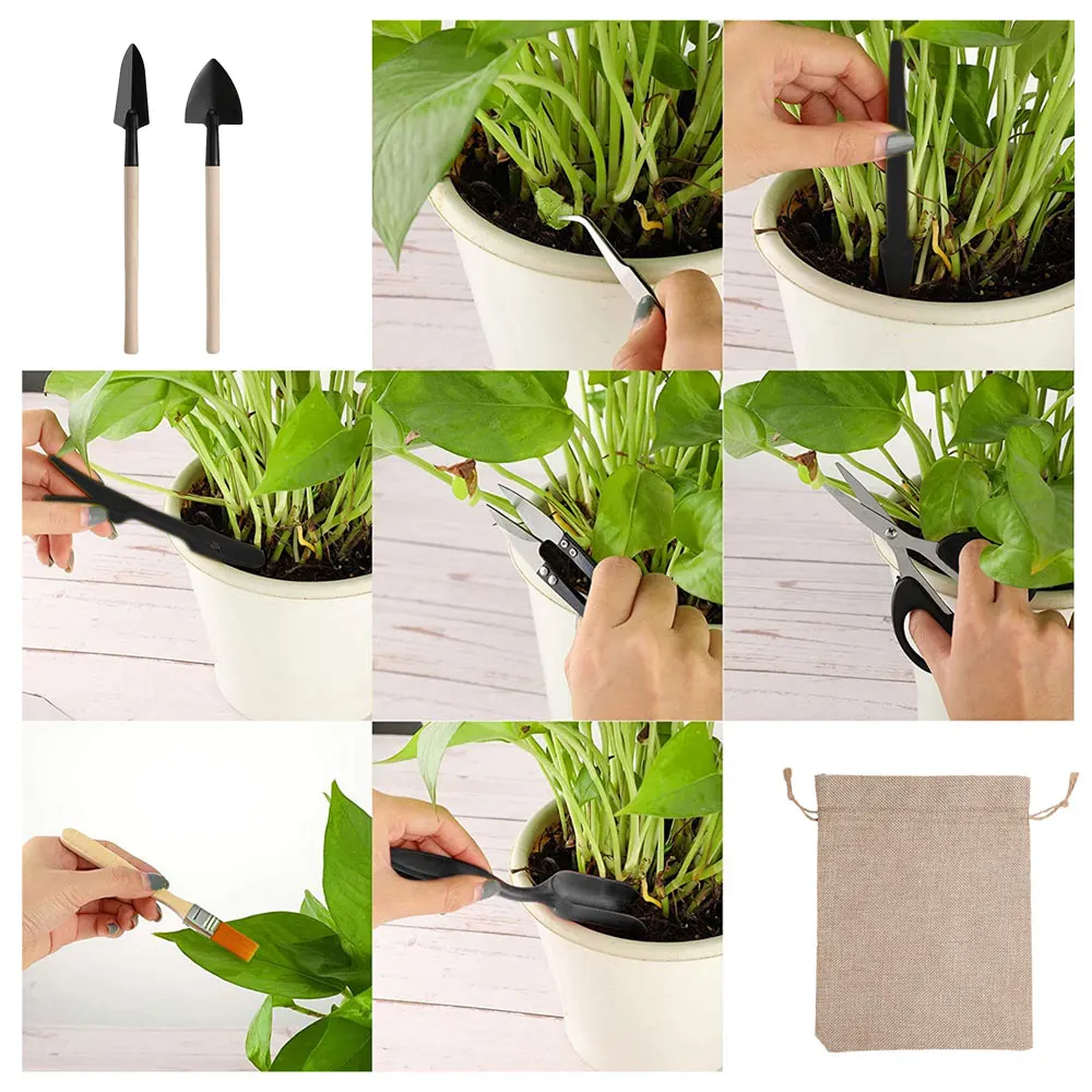 13PCS Succulent Plants Tool Se - đánh giá và giá Gardening Tools Kit For Home Garden