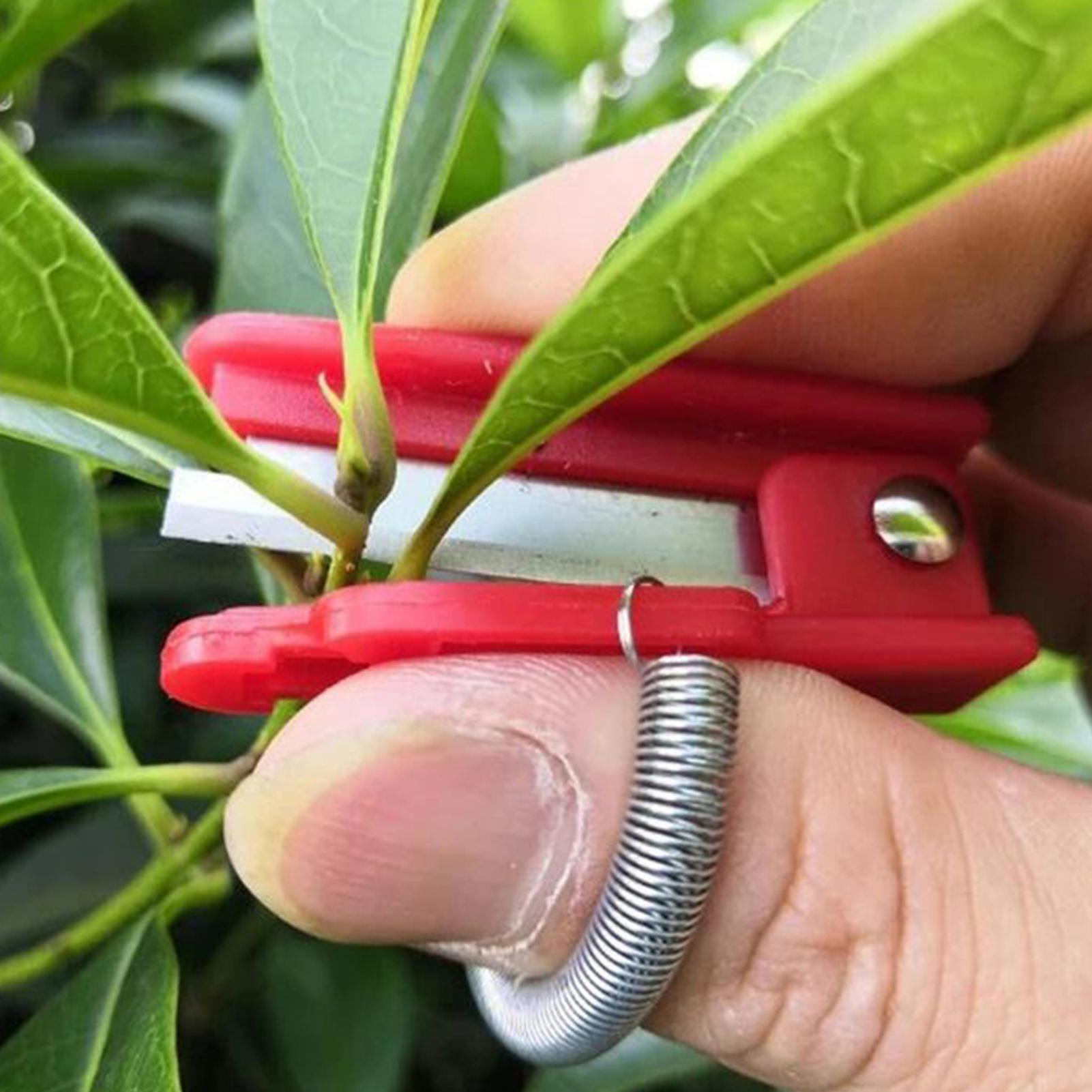 Multifunction Thumb Knife Gard - đánh giá và giá Harvest Knife Garden