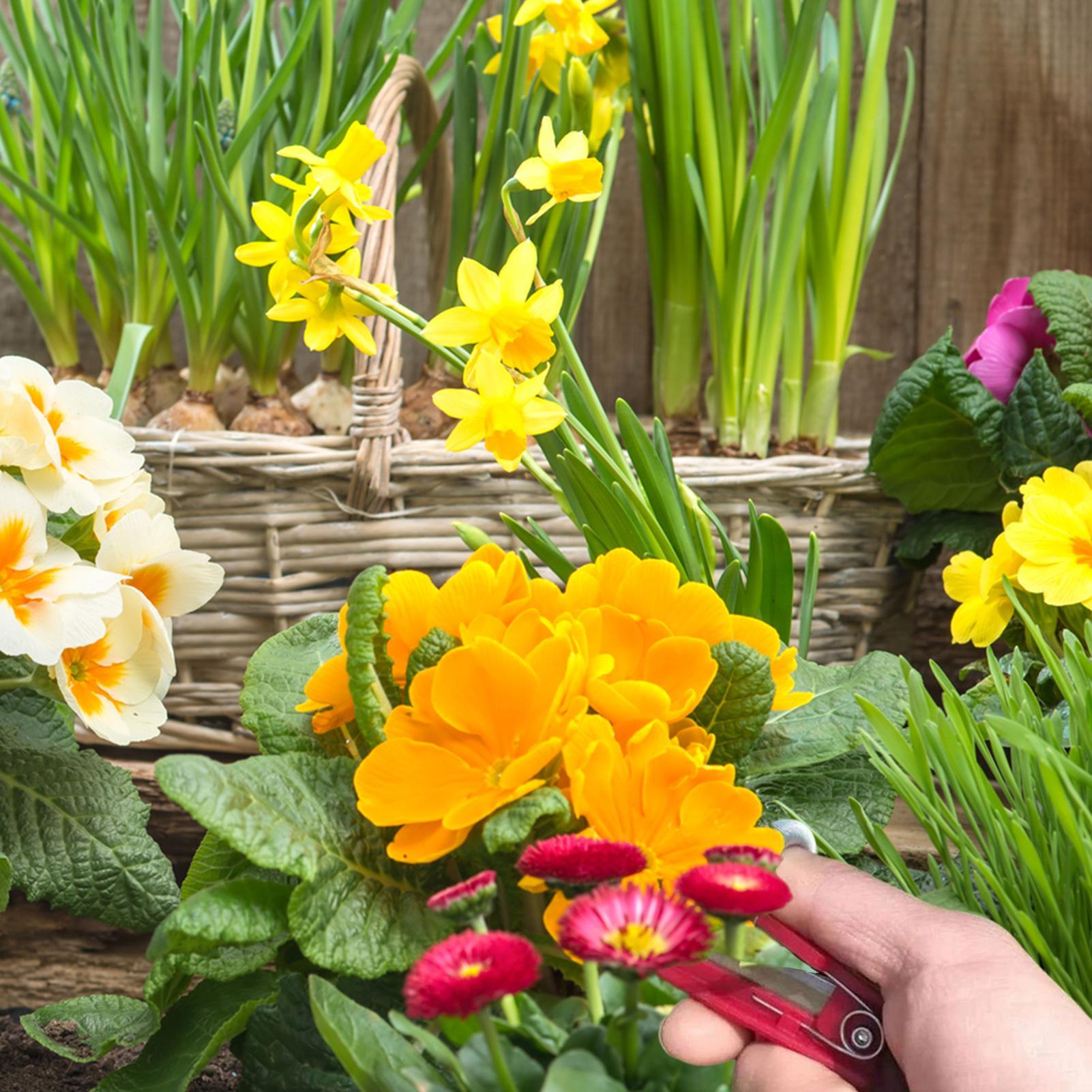 Multifunction Thumb Knife Gard - đánh giá và giá Harvest Knife Garden