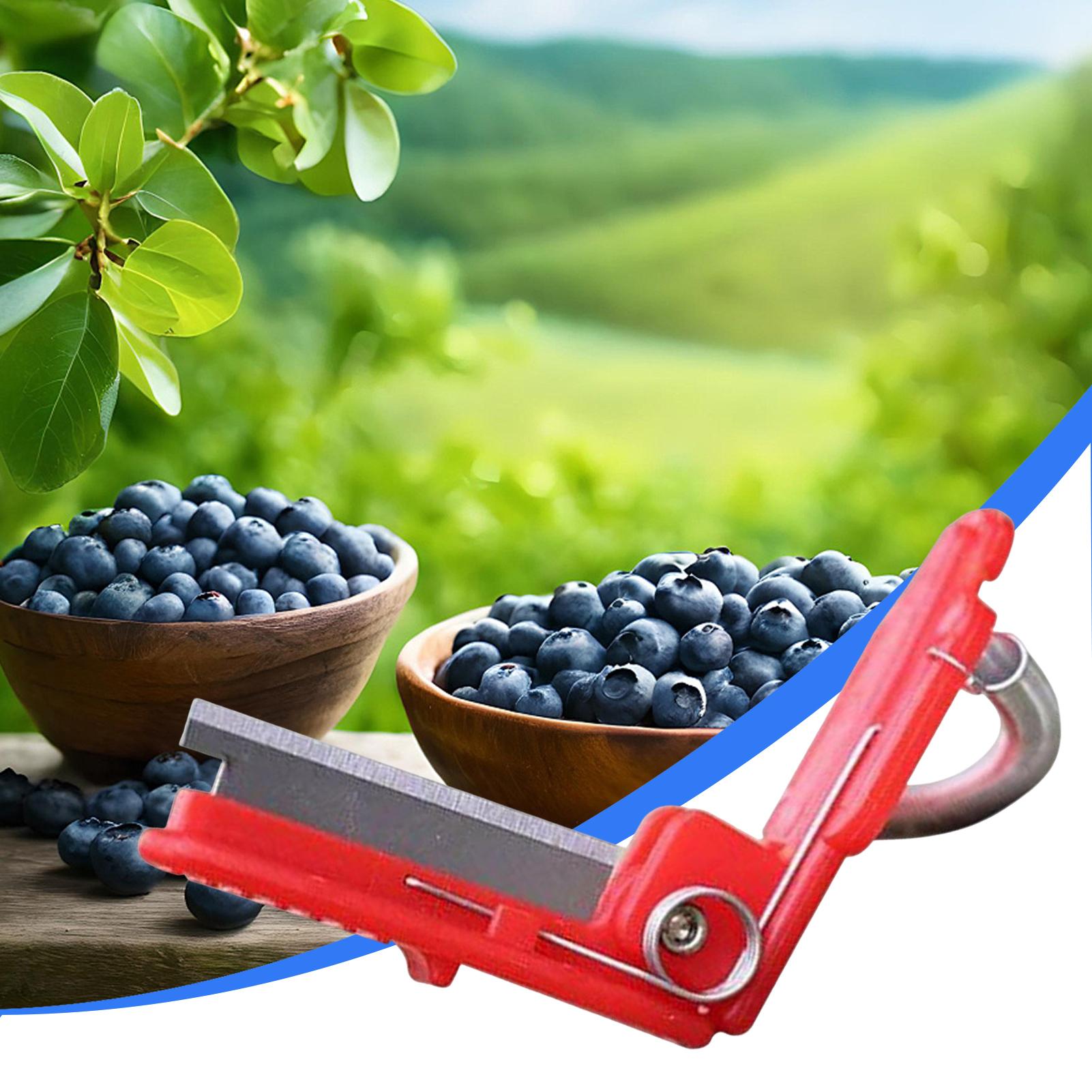 Multifunction Thumb Knife Gard - đánh giá và giá Harvest Knife Garden