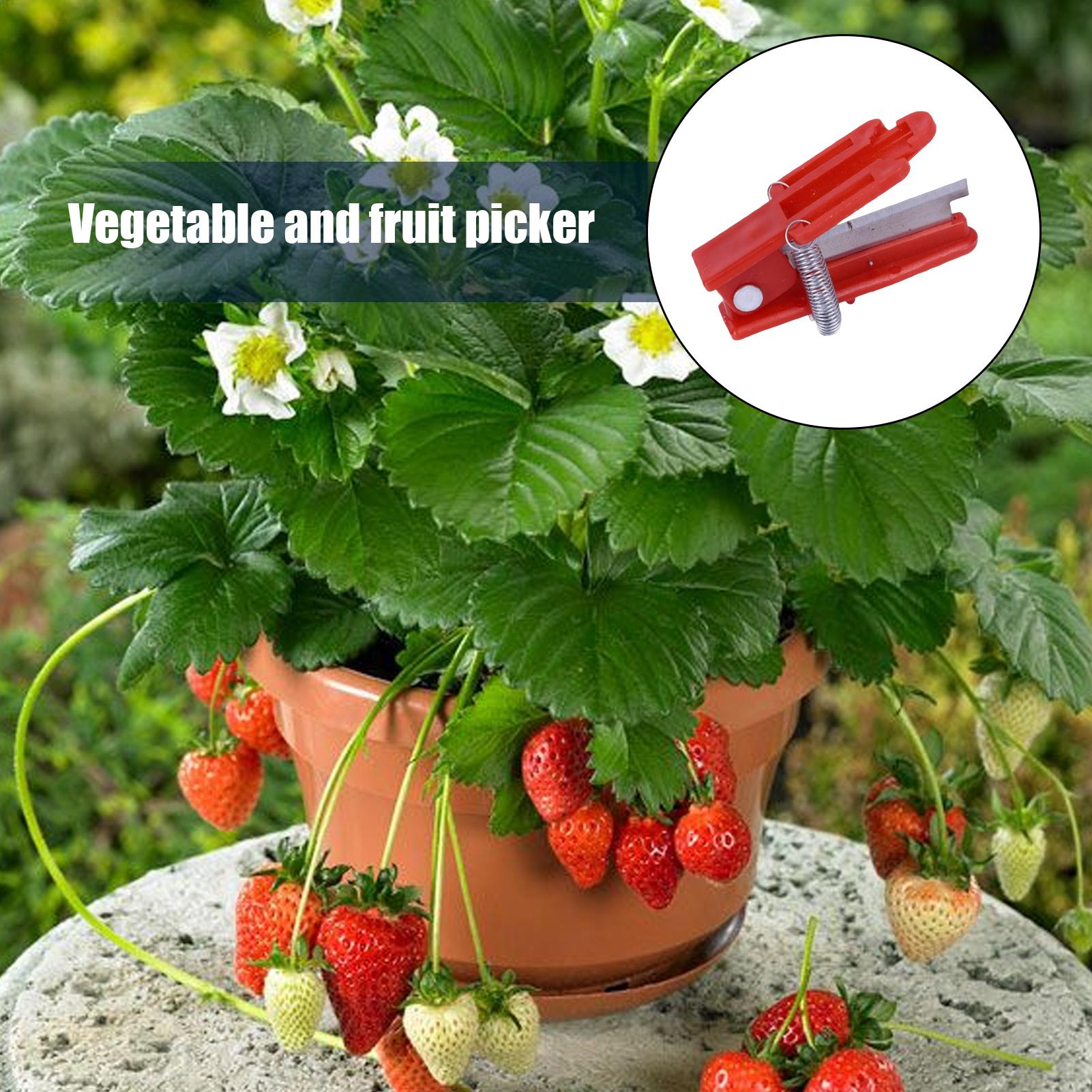 Multifunction Thumb Knife Gard - đánh giá và giá Harvest Knife Garden