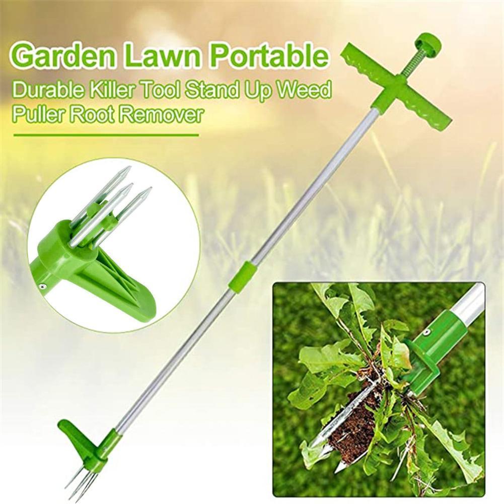 Easily Carrying Remover Grass  - đánh giá và giá Gardening Tools To Remove Grass