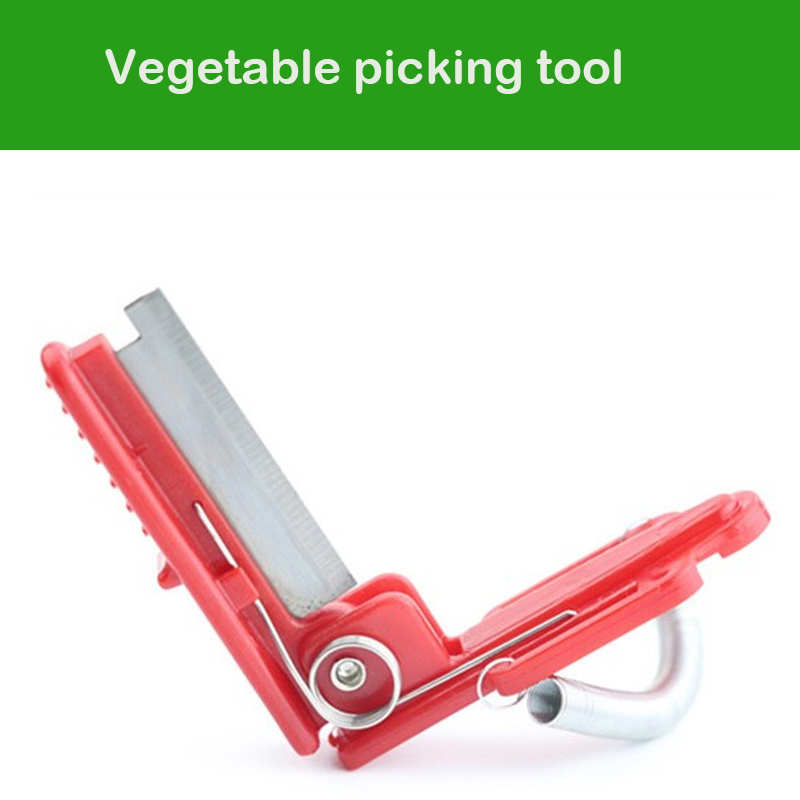 Knife Separator Vegetable Frui - đánh giá và giá Harvest Knife Garden