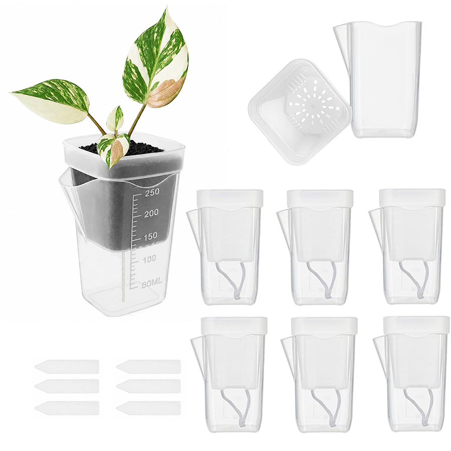 12/24PCS Self Watering Succule - đánh giá và giá Gardening Tools Kit For Home Garden