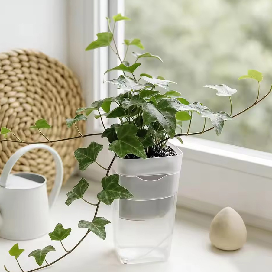 12/24PCS Self Watering Succule - đánh giá và giá Gardening Tools Kit For Home Garden