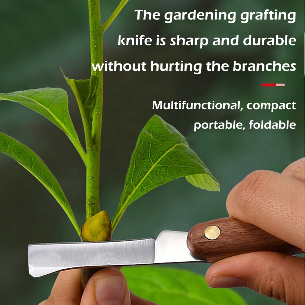 Grafting Tools Foldable Prunin - đánh giá và giá Harvest Knife Garden