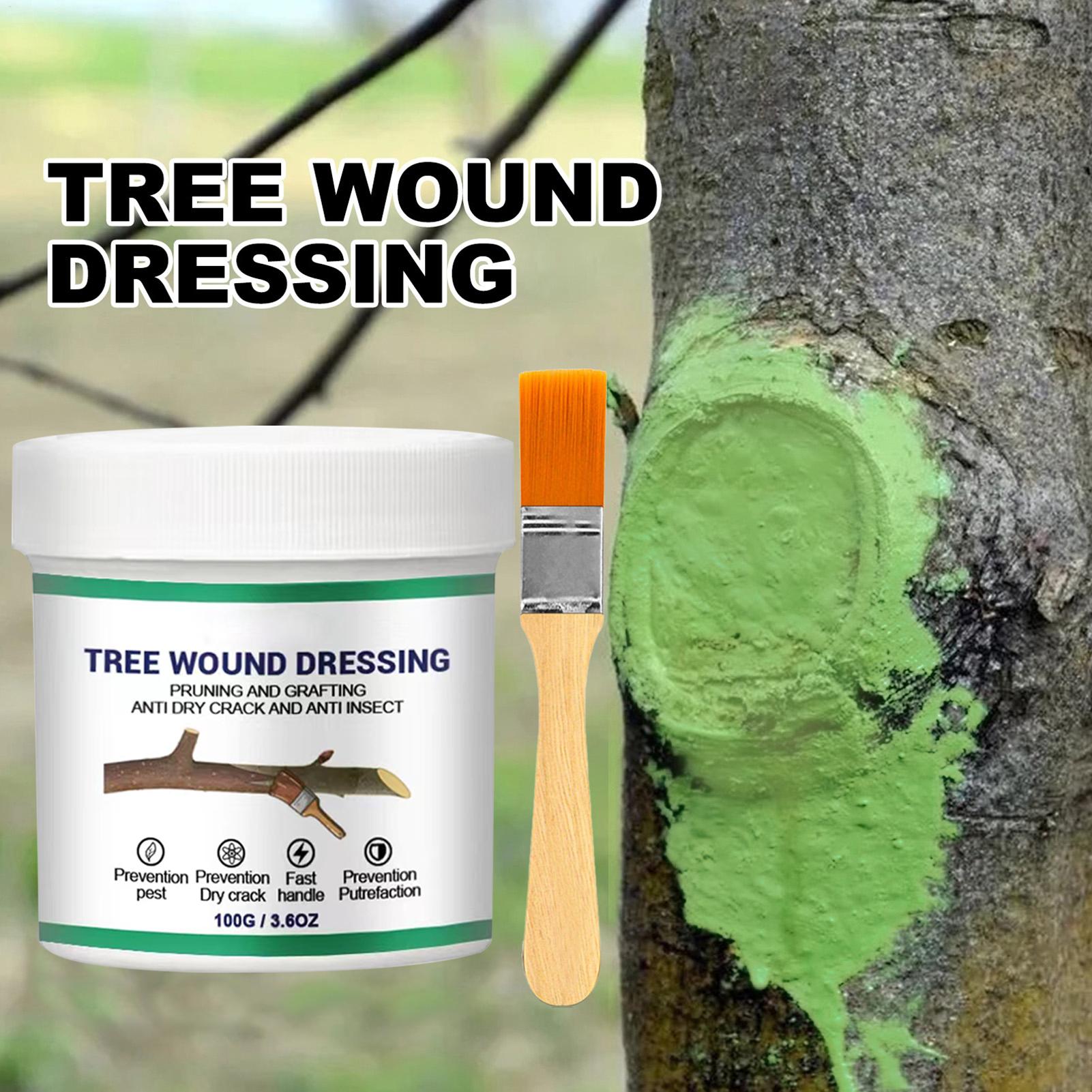 Tree Grafting Paste Tree Wound - đánh giá và giá Gardening Tools Women