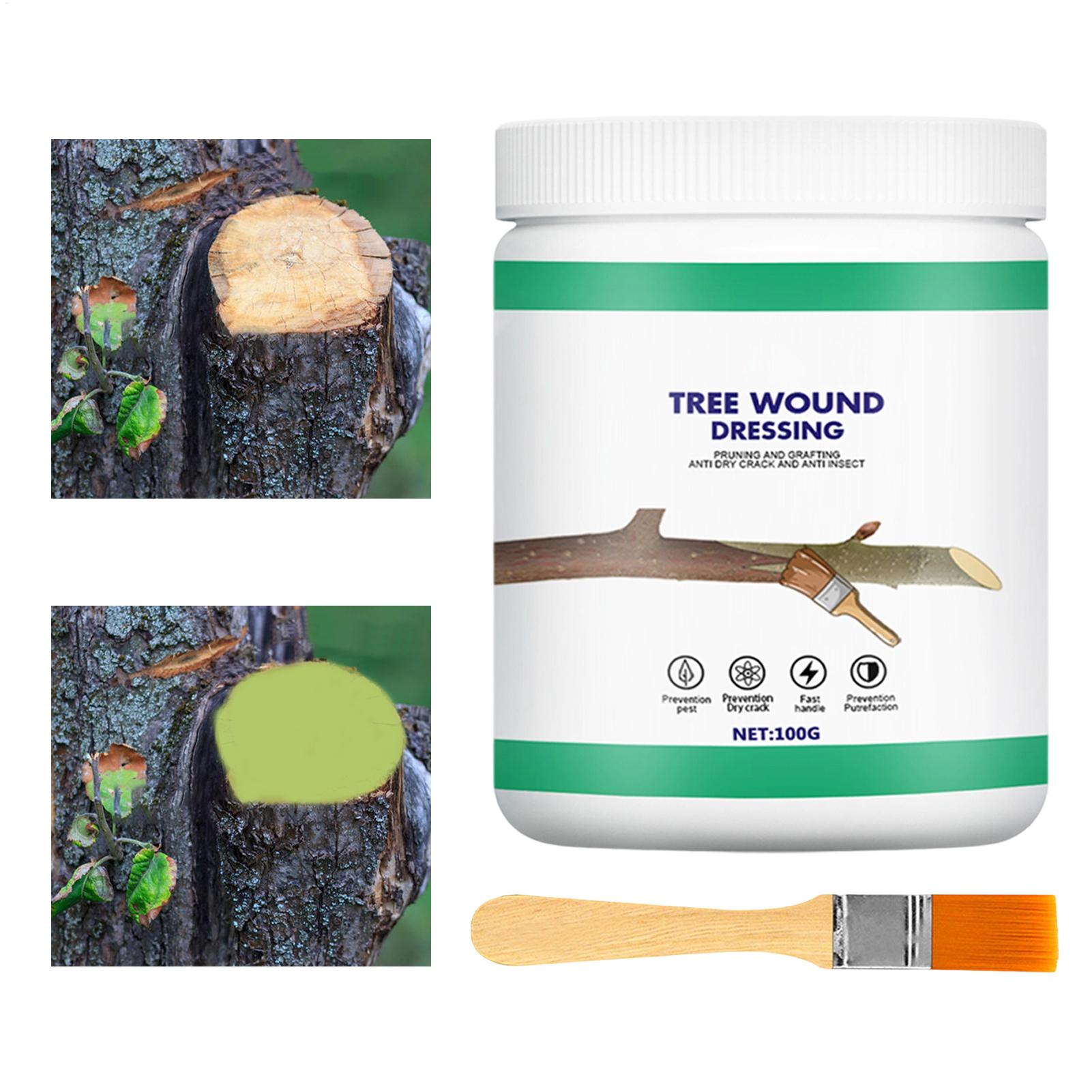 Tree Grafting Paste Tree Wound - đánh giá và giá Gardening Tools Women