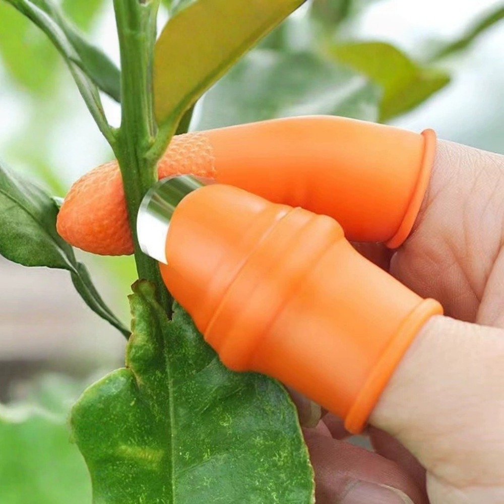 Vegetable Picking Stainless St - đánh giá và giá Harvest Knife Garden