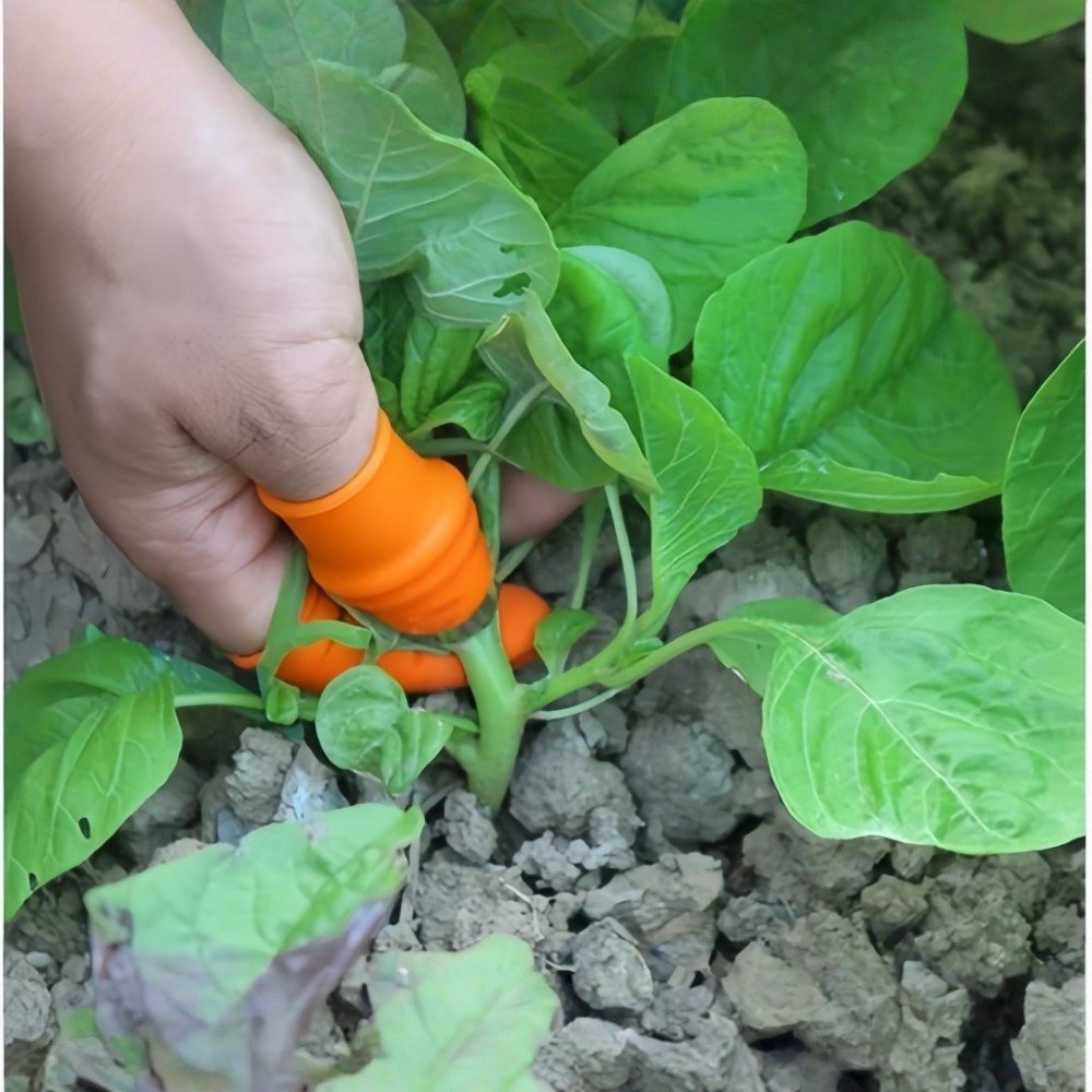 Vegetable Picking Stainless St - đánh giá và giá Harvest Knife Garden